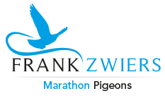 Frank Zwiers Marathon Pigeons Logo